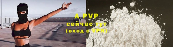 гашик Майский
