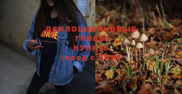 бошки Мегион