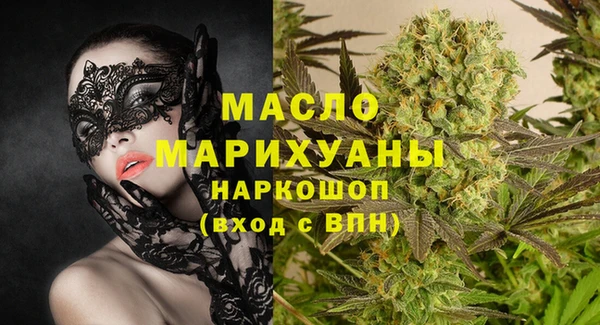 индика Медногорск