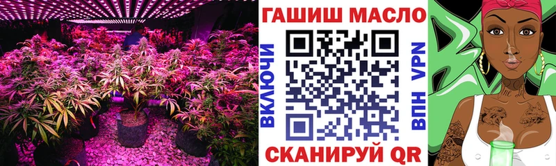 наркота ссылка на мегу ONION Дистиллят ТГК концентрат Арамиль